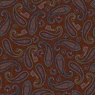 pattern paisley N3