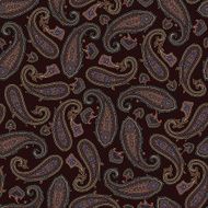 pattern paisley N6