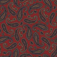 pattern paisley N7
