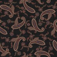 pattern paisley N10
