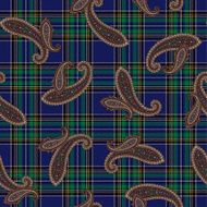 pattern paisley N11