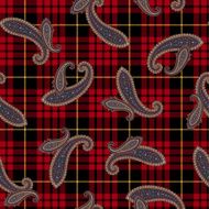 pattern paisley N12