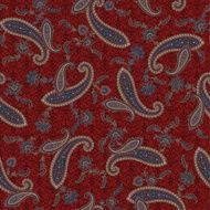 pattern paisley N13