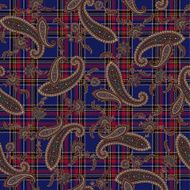 pattern paisley N14
