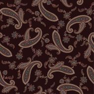 pattern paisley N15
