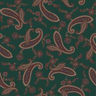 pattern paisley N16
