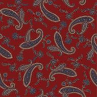 pattern paisley N17