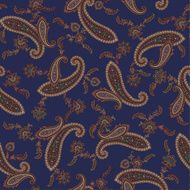 pattern paisley N18