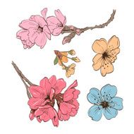 Flowers hand drawn vector illustration