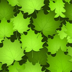 Green Leaves on Seamless Background