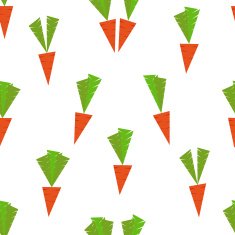 carrot pattern flat N2
