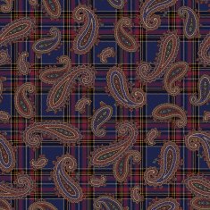 Paisley pattern N170