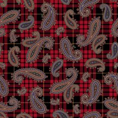 Paisley pattern N171