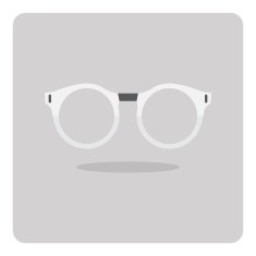 Vector of flat icon glasses N2