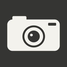 Flat in black and white mobile application camera N2