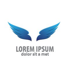 vector 3d abstract wing flying logo for company