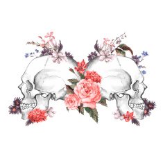 Roses and Skull Day of The Dead Vector illustration N3