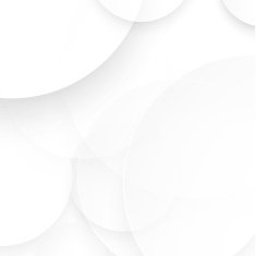 Vector Paper circle with drop shadows N2