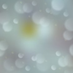Blurred background with bokeh effect N11