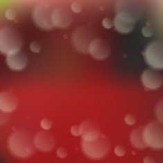 Blurred background with bokeh effect N13