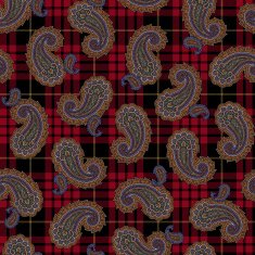 Paisley pattern N187