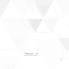 Vector background abstract polygon triangle N20