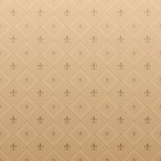 Vintage Pattern Wallpaper Brown Color N3