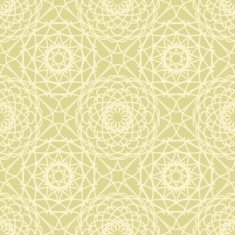Vintage lace seamless pattern N5