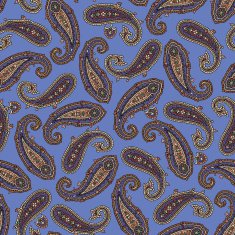 Paisley pattern N208