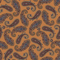 Paisley pattern N209