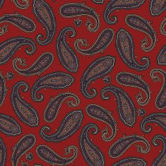 Paisley pattern N211