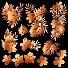 Hibiscus illustration N2