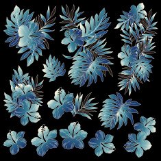 Hibiscus illustration N3