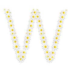 Flora Daisy Design Alphabet Vector Illustartion N3