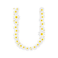 Flora Daisy Design Alphabet Vector Illustartion N5