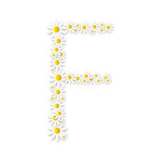 Flora Daisy Design Alphabet Vector Illustartion N19
