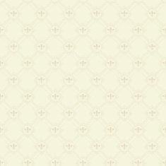 Seamless texture background N128