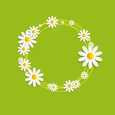 Flora Daisyl Design Vector Illustartion N11