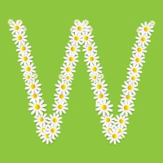 Flora Daisy Design Alphabet Vector Illustartion N28