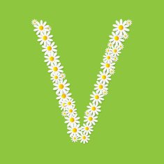 Flora Daisy Design Alphabet Vector Illustartion N29