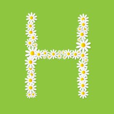 Flora Daisy Design Alphabet Vector Illustartion N43