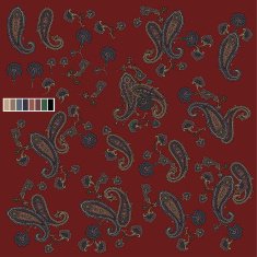 paisley N4