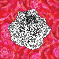 seamless roses ornament N3