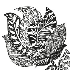 Doodling hand drawn amazing feathers with patterns N15