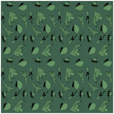 February 23 military Background