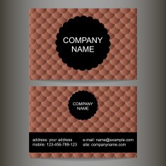 stylish colorful business card