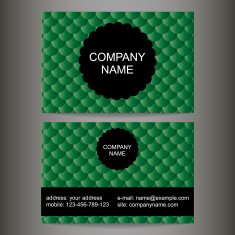 stylish colorful business card N2
