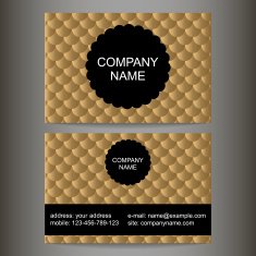 stylish colorful business card N4