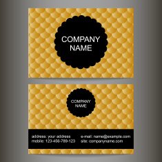 stylish colorful business card N5