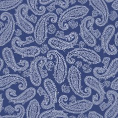 pattern paisley